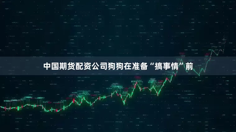 中国期货配资公司狗狗在准备“搞事情”前