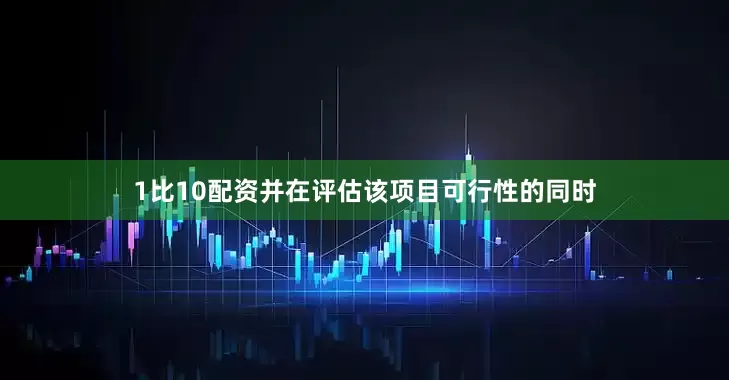 1比10配资并在评估该项目可行性的同时