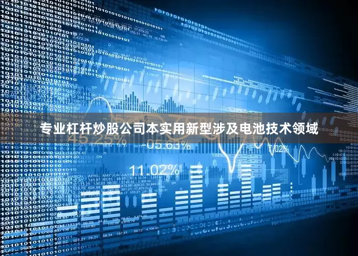 专业杠杆炒股公司本实用新型涉及电池技术领域