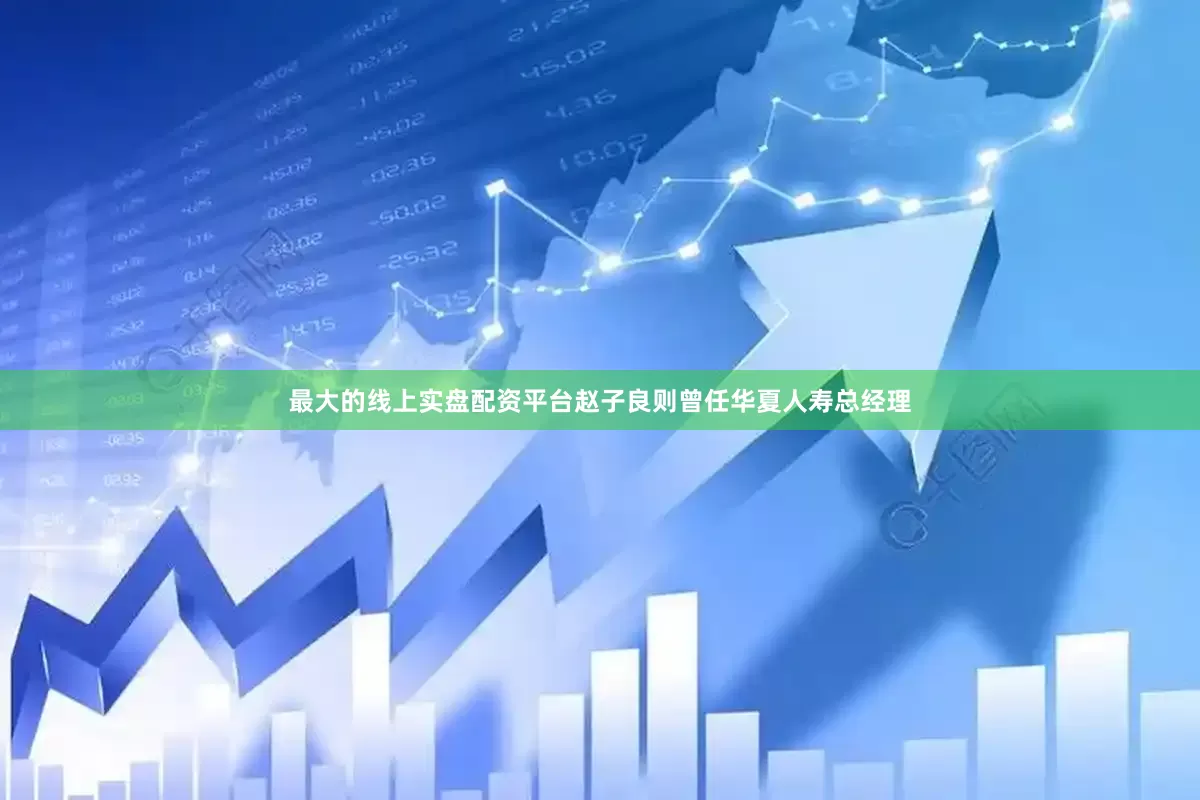 最大的线上实盘配资平台赵子良则曾任华夏人寿总经理