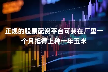 正规的股票配资平台可我在厂里一个月抵得上种一年玉米